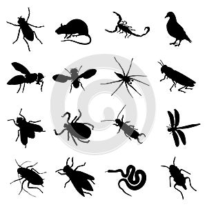 Rodent and pest silhouette photo