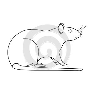 Rodent rat single icon in outline style for design.Pest Control Service vector symbol stock illustration web.