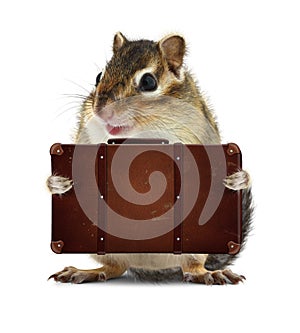 Rodent with suitcase on white, vacation concept