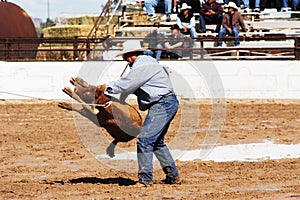 Rodeo action