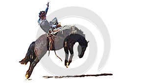 Rodeo bareback rider taming a wild bucking horse