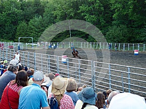 Rodeo Barrel Racing