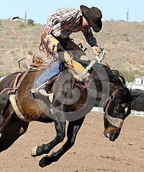 Rodeo Bucking Bronc Rider