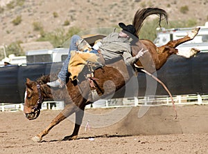 Rodeo Bucking Bronc Rider