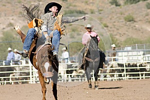 Rodeo Bucking Bronc Rider