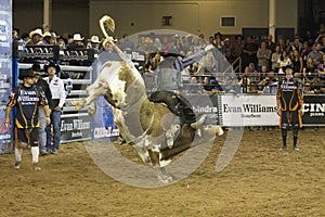 Rodeo bull rider cowboys