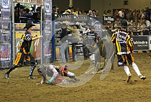 Rodeo bull rider cowboys