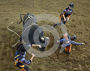 Rodeo bull rider cowboys