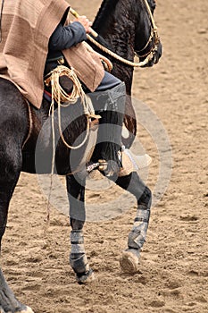 Rodeo in chile photo