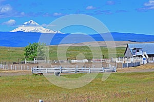 Rodeo corall in front of mt hood