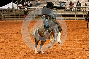 Rodeo Cowboy photo