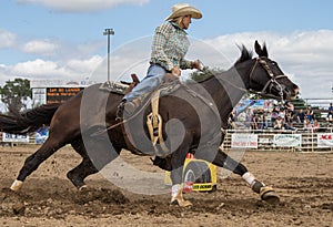 Rodeo Cowgirl Barrel Racer