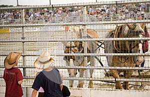 Rodeo Cowtown