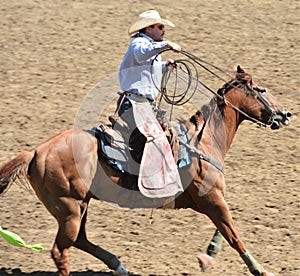 American Rodeo in Colorado