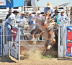 American Rodeo in Colorado