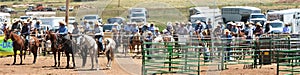 American Rodeo in Colorado