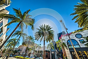 Rodeo drive in Beverly Hills photo