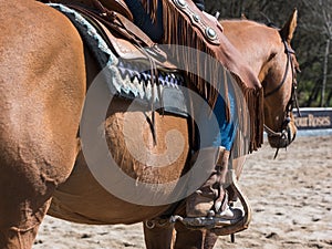 Rodeo equipment for cowgirl or cowboy