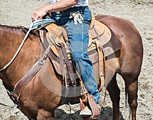 Rodeo event cowboy