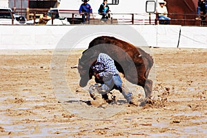 Rodeo in the mud.