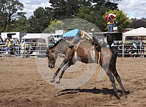 Rodeo Rider