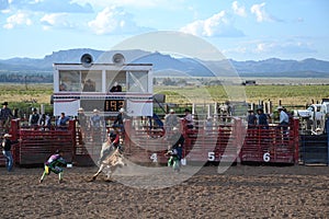 Rodeo in small viliage