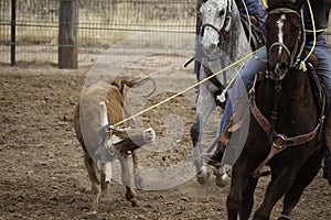 Team Roping