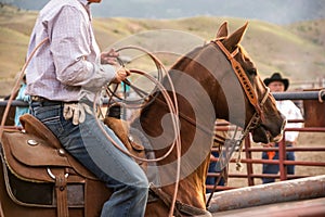 Rodeo Wrangler