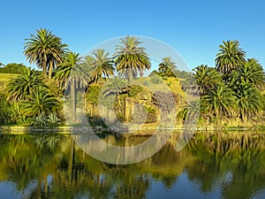 Rodo Park, Montevideo, Uruguay