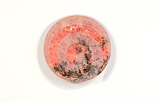 Rodonit in white background