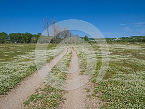 Rodopa mountain, landscape view from the hill.