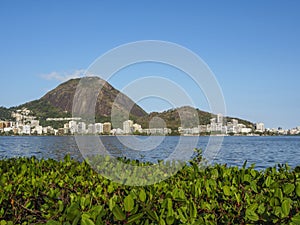 Rodrigo de Freitas Lagoon in Rio photo