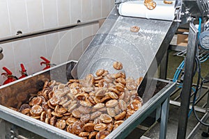 Roduction of gingerbread on the bakery conveyor