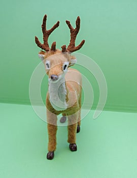 Roe deer animal of class Mammalia mammals