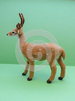 Roe deer animal of class Mammalia mammals