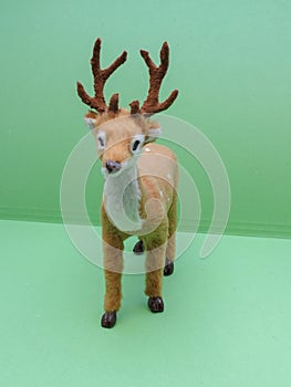 Roe deer animal of class Mammalia mammals