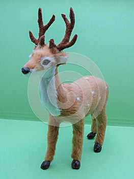 Roe deer animal of class Mammalia mammals