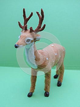 Roe deer animal of class Mammalia mammals