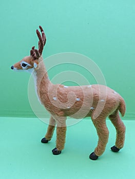 Roe deer animal of class Mammalia mammals