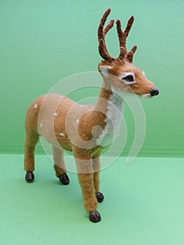 Roe deer animal of class Mammalia mammals in Copenhagen photo