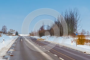 roe deer, danger on a road