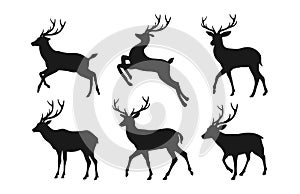 Roe deer Silhouette set