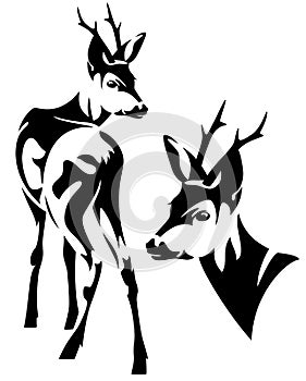 Roe deer vector