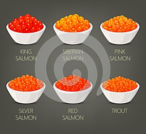 Roe or spawn, red or silver, salmon caviar