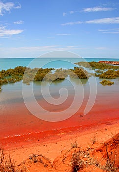 Roebuck Bay, Broome, Australia photo