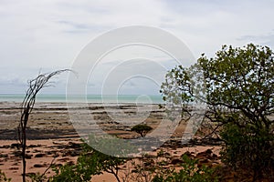 Scenic Landscape in Roebuck Bay, Broome, Western Australia. photo