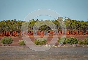 Roebuck Bay sand cliffs and mangrove photo