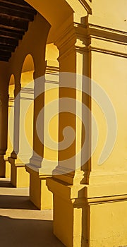 Rof of columns in colonnade