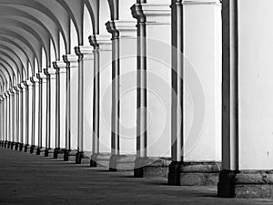 Rof of columns in colonnade