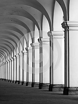 Rof of columns in colonnade